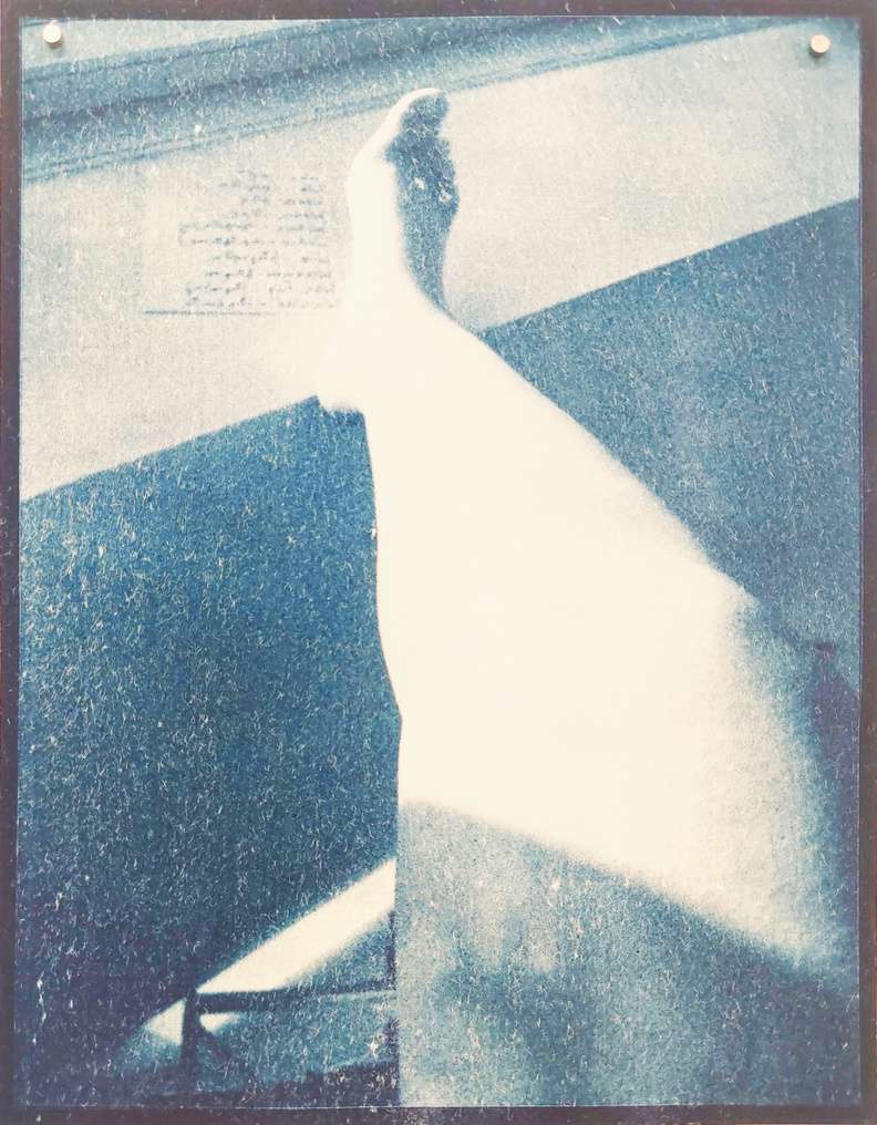 Sophie Musoyan - çArtistic Dossier